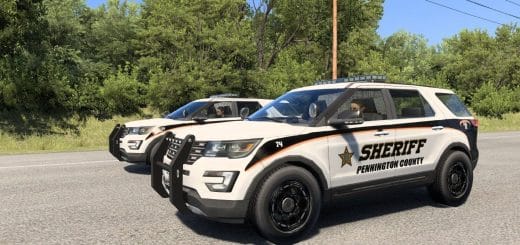 Extra City Police Vehicles