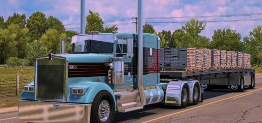 Eichel Trucking Skin for Moiza Mods W900L/B v1.0