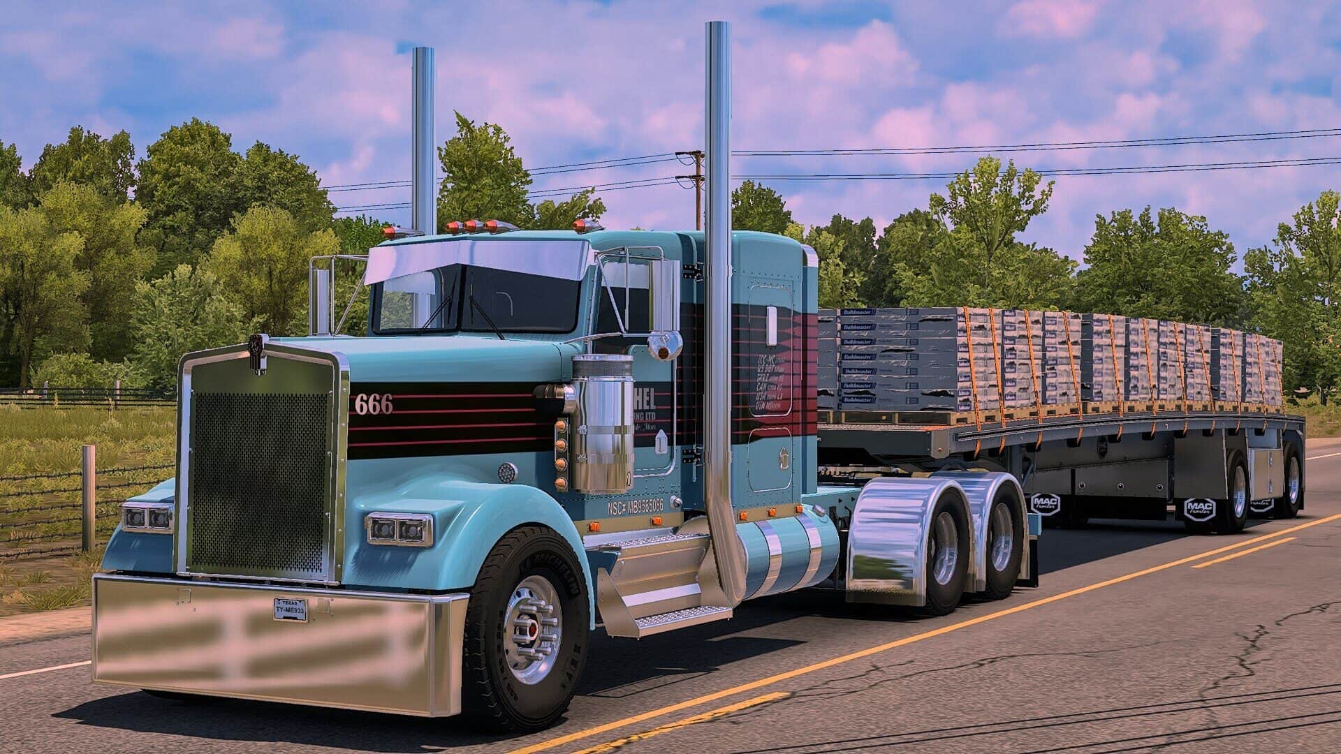 Eichel Trucking Skin for Moiza Mods W900L/B v1.0