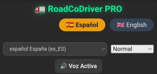 RoadCoDriver