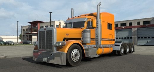 SCS 389 SKINPACK