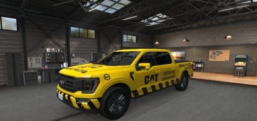 Skin Unidad Piloto F150